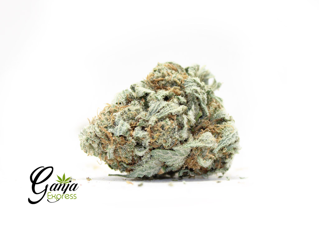 Larry OG (Bulk) Strain | Buy Weed Online Canada | Ganja Express