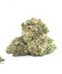 OG-KUSH-4-2