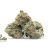 PURPLE-NUKEN-1