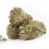 WHITE-KING-KUSH-1