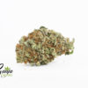 WHITE-KING-KUSH-2