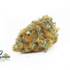 WILD-OG-1