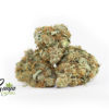 WILD-OG-2