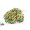 amnesia-haze-1