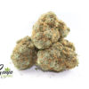 bunny-master-og-2