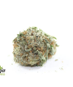 crystal-coma-1
