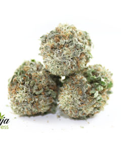 crystal-coma-2