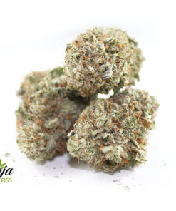 durban-2-2