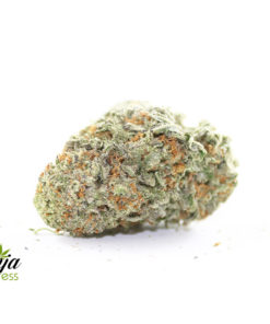 gas-mask-x-death-bubba-2
