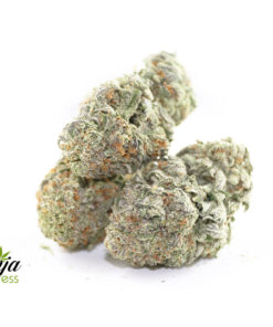 gas-mask-x-death-bubba-3