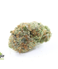 god-kush-3-1