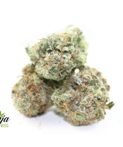 god-kush-3-2