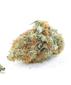 green-star-blue-dream-1
