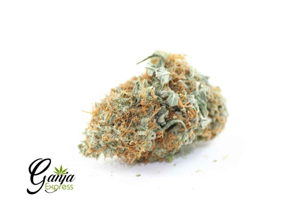green-star-blue-dream-1
