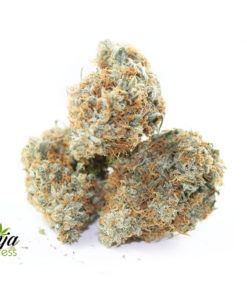 green-star-blue-dream-2