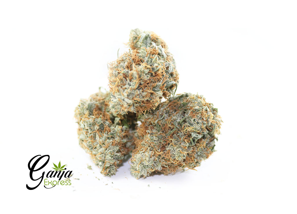 green-star-blue-dream-2