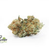 house-indica-2-2