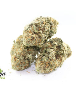 lemon-bubble-gum-2
