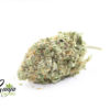 tropical-nuken-1