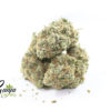 tropical-nuken-2