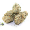 zombie-candy-4
