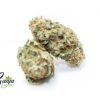alpha-gods-og-kush-2