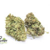 budget-buds-hybrid-edition-1