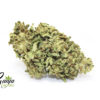 budget-buds-hybrid-edition-2