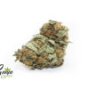 house-indica-3-1