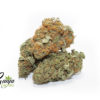 house-indica-3-2