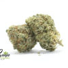 purple-hindu-kush-2