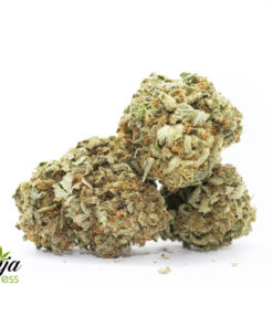 red-diesel-2