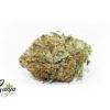 white-tuna-kush-2