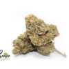wtf-kush-2