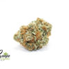 BC-BIG-BUD-2