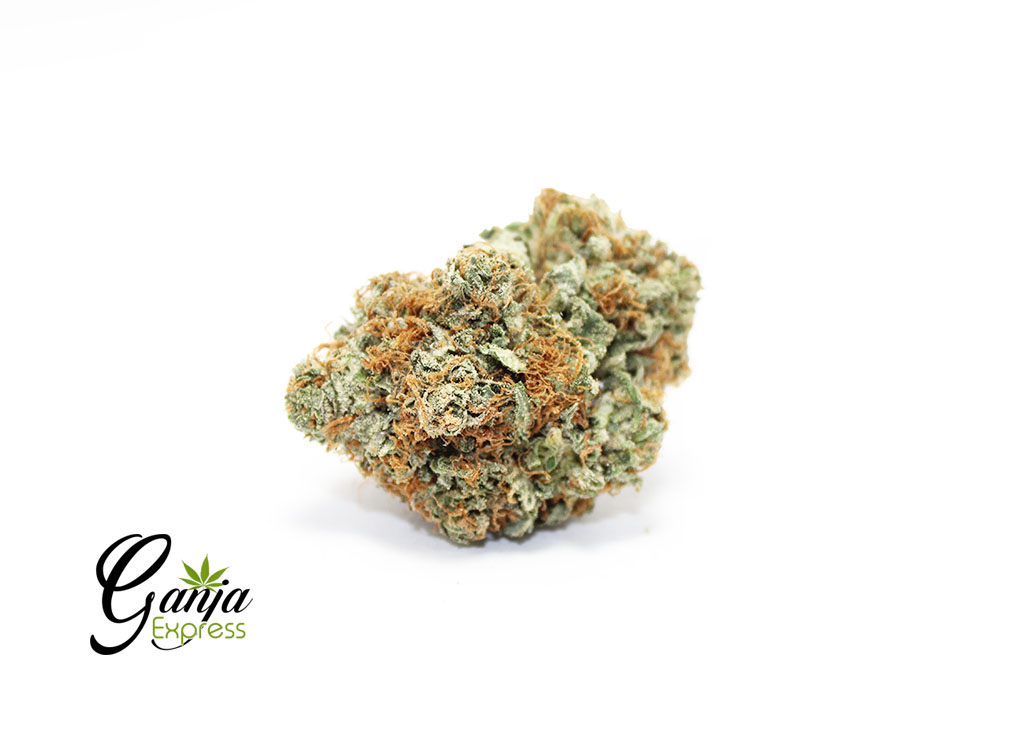 BC-BIG-BUD-2