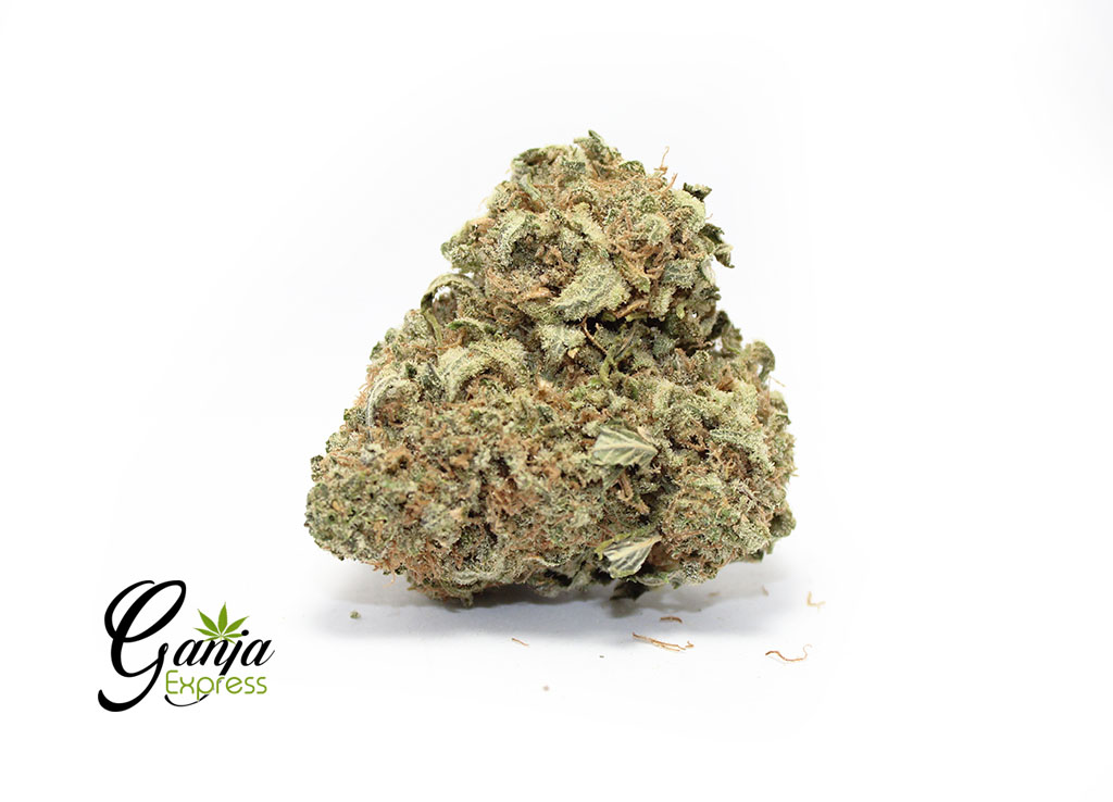 LEMON-THAI-1