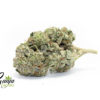 PINK-TUNA-1