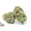 PINK-TUNA-2