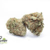 WILD-WHITE-WIDOW-2