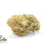 ZOMBIE-KUSH-X-GTH-1