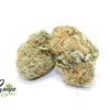 WATERMELON2-NOV23-2021