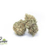 ancient-purple-2