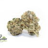 ganja-farms-black-tuna-2