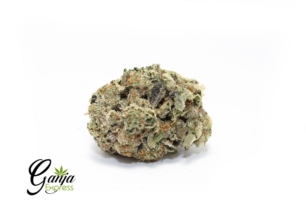ganja-farms-black-tuna