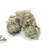 house-grape-2-1