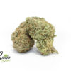 house-sativa-3-1
