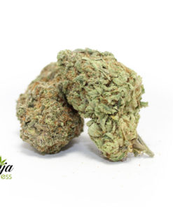 house-sativa-3-1