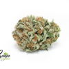 kootney-island-indica
