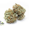 kootney-island-indica-2